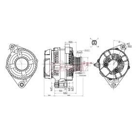 Lichtmaschine von AP XENERGY
