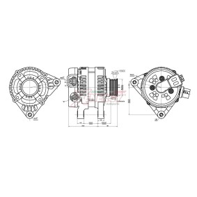 Lichtmaschine von AP XENERGY
