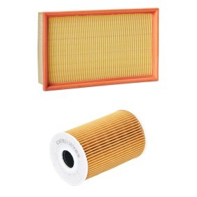 Compre Kit de filtros de RIDEX PLUS online para California T5 Bus (7EC, 7EF, 7EG, 7HF) a precios moderados
