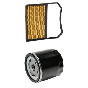 Köp Servicekit och filtersats från RIDEX PLUS på nätet till Voyage (5U4) till schyssta priser
