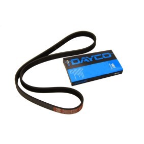 Compre Correia trapezoidal estriada da DAYCO 5PK1352 a um preço baixo por 13,58 €