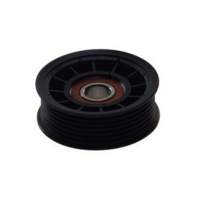 Achetez des Galet enrouleur de courroie d'accessoire DAYCO APV2598 à prix pour 13,99 €