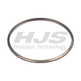 Dichtring, Abgasrohr 83 23 6693 von HJS günstig für 20,39 € online kaufen