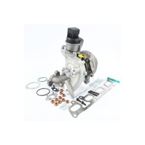 Turbolader 207043 von MAPCO günstig für 760,29 € online kaufen