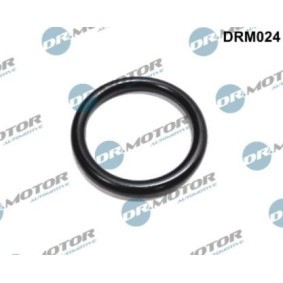 Dichtung, Kühlmittelflansch DRM024