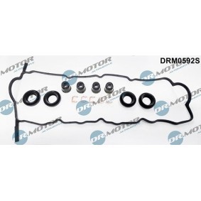 Achetez des Jeu de joints d'étanchéité, couvercle de culasse LIZARTE DRM0592S à prix pour 99,69 €