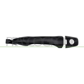 Türgriff CI4298002 von PRASCO günstig für 32,07 € online kaufen