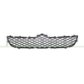 Kühlergrill CI9542011