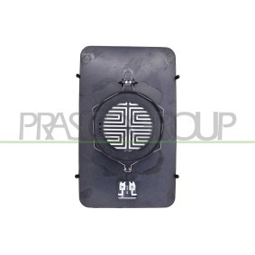 Acquista Vetro specchio, specchio esterno da PRASCO FT9267525 a buon mercato per soli 32,40 €