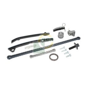 Steuerkettensatz TC7311FK DACIA JOGGER von BGA