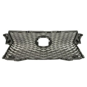Kühlergrill 6502-07-8123990P