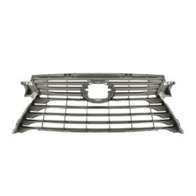Kühlergrill 6502-07-8123993P