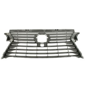Kühlergrill 6502-07-8123994P