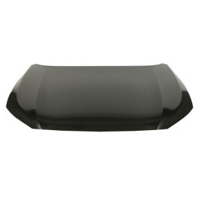 Motorhaube 6803-00-2953280P