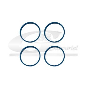 Acquista Kit guarnizioni, Collettore aspirazione da 3RG 82256 a buon mercato per soli 9,55 €