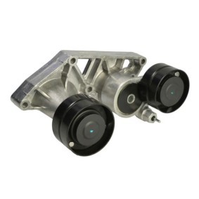 Comprar Tensor de correa poli V de BTA B05-01-070 a bajo precio de 74,74 €