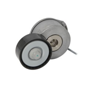 Achetez des Galet tendeur de courroie d'accessoire de chez BTA en ligne pour Jumpy III Camion plate-forme/Châssis (V) à prix modérés