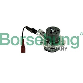 Wasserpumpe von Borsehung