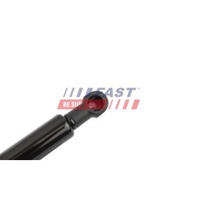 Schlauch, Leckkraftstoff FT00268 MINI COUNTRYMAN von FAST