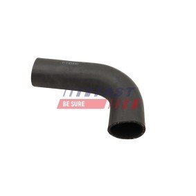 Compre Polea de inversión y guía, correa de distribución de FAST online para Leon III Hatchback (5F1) a precios moderados