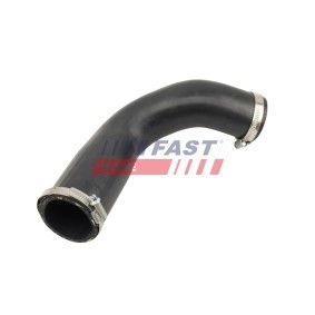 Comprar Tensor de correa poli V de FAST FT10517 a bajo precio de 48,50 €