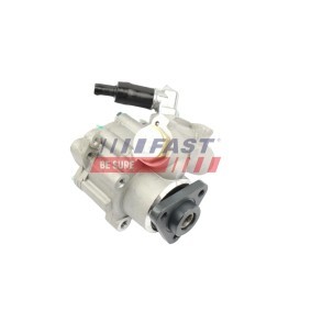 Servopumpe FT36258