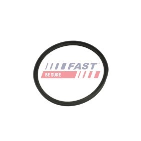 Achetez des Bague d'étanchéité, radiateur d'huile FAST FT48961 à prix pour 11,25 €