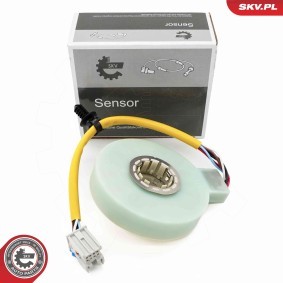 Comprar Sensor de ángulo de dirección de ESEN SKV 17SKV994 a bajo precio de 130,48 €