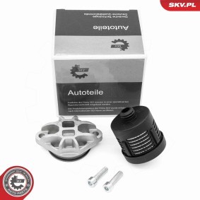 Köp Hydraulikfilter, Haldeskoppling av ESEN SKV 31SKV392 till det låga priset 262,09 kr