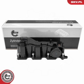 Zylinderkopfhaube von ESEN SKV für Range Rover Velar (L560) günstig online kaufen