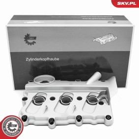 Achetez des Cache-culbuteur ESEN SKV 48SKV121 à prix pour 121,99 €
