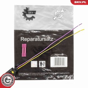 Compre Kit de reparação de cabos, válvula injectora da ESEN SKV 53SKV218 a um preço baixo por 11,62 €