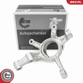 Achsschenkel, Radaufhängung 73SKV001