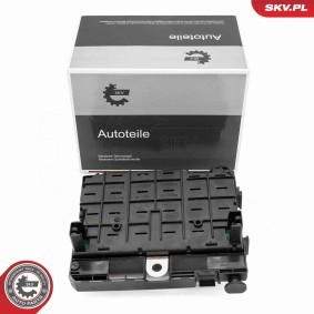 Compre Módulo de comando, gestão do motor da ESEN SKV 96SKV321 a um preço baixo por 117,47 €