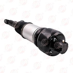 Federbein CSMCR01423