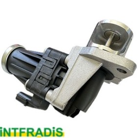 Comprar Válvula EGR de INTFRADIS 25704 a bajo precio de 161,21 €