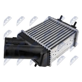 Kjøp Intercooler av NTY CNG-RE-002 til den lave prisen 1730,29 NOK