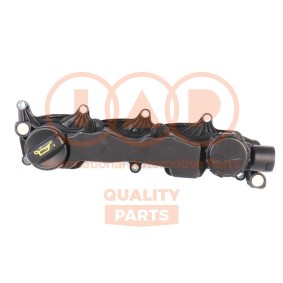 Achetez des Cache-culbuteur IAP QUALITY PARTS 133-11080C à prix pour 117,36 €