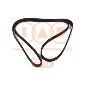 Keilrippenriemen von IAP QUALITY PARTS