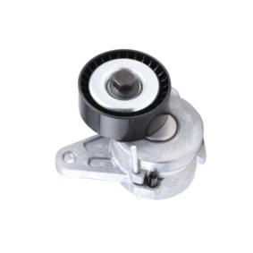 Comprar Tensor de correa poli V de GOOM BT-0029 a bajo precio de 49,46 €