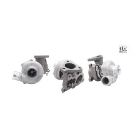 Achetez des Turbocompresseur TURBOS EUROPE TE4913502110 à prix pour 958,85 €