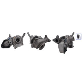 Turbolader TE8220887