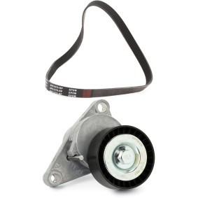 Achetez des Jeu de courroies trapézoïdales à nervures RIDEX PLUS 542R0187P à prix pour 47,67 €