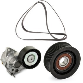Achetez des Jeu de courroies trapézoïdales à nervures RIDEX PLUS 542R0042P à prix pour 64,04 €