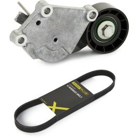 Achetez des Kit de courroie d'accessoire de chez RIDEX PLUS en ligne pour AYGO (WNB1_, KGB1_) à prix modérés
