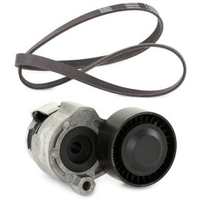 Keilrippenriemensatz von RIDEX PLUS