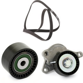 Keilrippenriemensatz von RIDEX PLUS