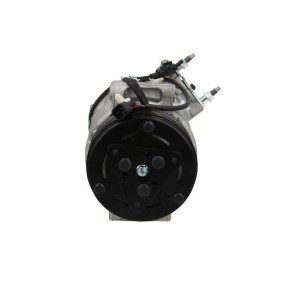 Acquista Compressore aria condizionata da BV PSH 090.845.020.876 a buon mercato per soli 325,05 €