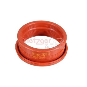 Köp Luftfilter från METZGER på nätet till CRAFTER 30-50 Flak/chassi (2F_) till schyssta priser