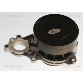 Wasserpumpe von TRISCAN